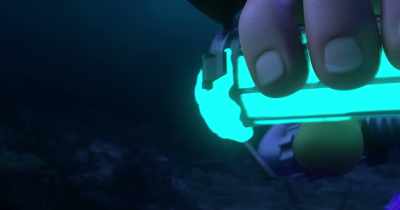 We really needed
your help with this - Dolphin Boy