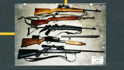We recovered
29 or 39 weapons - FBI TRUE