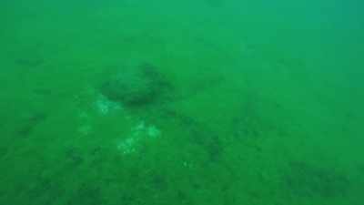 We refer to them as
"mishoomis" - "grandfather". - Secrets of the Underground