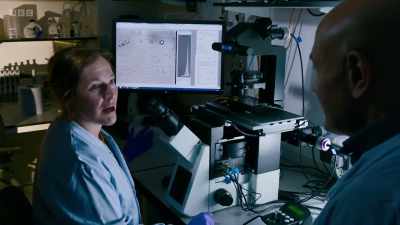 We reprogram the human skin cells
back to stem cells - Secrets of Size: Atoms to Supergalaxies