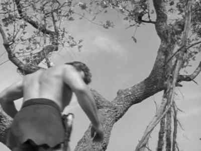 We rest here. - Tarzan's Hidden Jungle