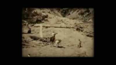 We rode every day - Sasquatch