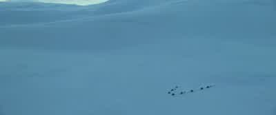 DAN: We’ll gain a good vantage point if we can get to the peak of the ice cap before sundown. - The Tomorrow War