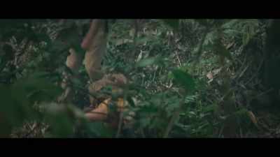 We’ve been here two days, - Virgin Forest
