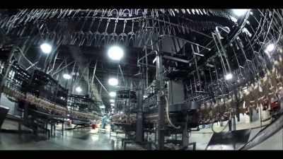We run over 300,000 chickens a day. - Poisoned: The Dirty Truth About Your Food