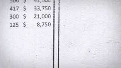 We sat down and basically put together
a budget for him in a day, - Fyre