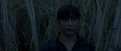 We saw these people, - Behind the Trees