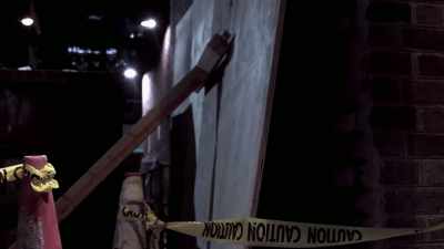 WE SEARCHED THE ALLEYS,
THE DUMPSTERS, - Chandra Levy: An American Murder Mystery