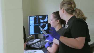 We see a large
fluid-filled structure, - Secrets of the Zoo