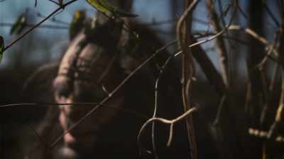 We see Sasquatch or hear from
researchers about Sasquatch - Secrets of the Sasquatch