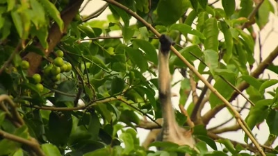 'We see spring as a time of relief
after a long winter. - A Year on Planet Earth