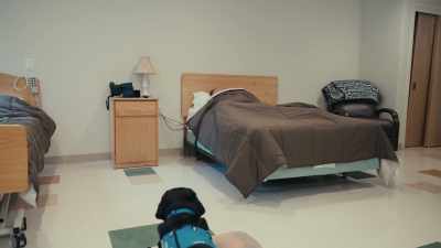 We serve veterans with PTSD, - Inside the Mind of a Dog