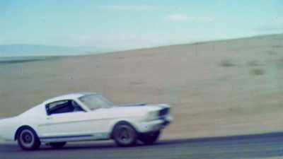 We set the cars up for racing - Shelby American