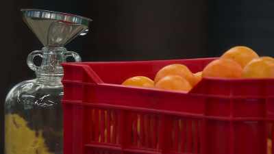 - We shelling oranges today!
- Players... - Squid Game: The Challenge