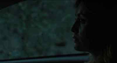 We shot a deer in the woods. - Drive Back