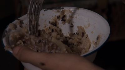 We should all eat the weevils - Empire of the Sun