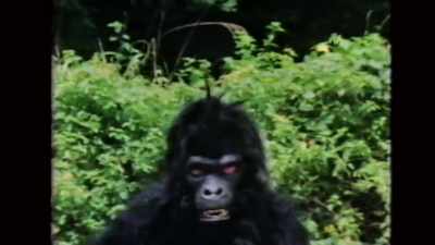 We should also mention
BRUCE LEE THE INVINCIBLE, - Enter the Clones of Bruce