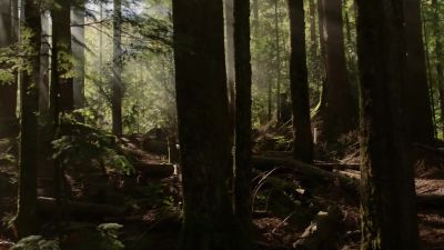 We should be close.
Follow my lead. - The 100