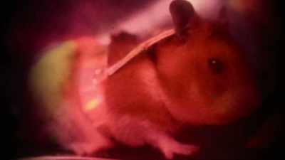 We should charge a
really high cover - Fantasmas