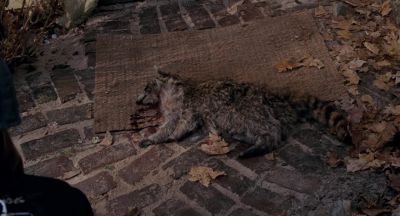 We should give him a proper burial - Paper Man