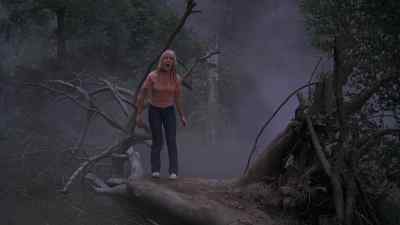 - We should head back.
- Tell that to Nerak. - The Watcher in the Woods
