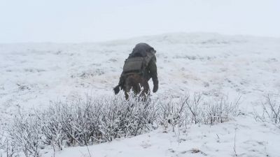 We should hopefully come across a mountain goat. - Life Below Zero: First Alaskans
