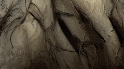 We should note that the artist painted this bison with 8 legs - Cave of Forgotten Dreams