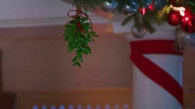 We should probably just take that down,
though. It's a little dangerous. - Operation Mistletoe