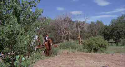 - We should stop to water the horses?
- We ain't stop until we get to Mexico. - Barquero