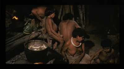 We shouldn't be surprised that some
cultures practice non-monogamy. - Explained