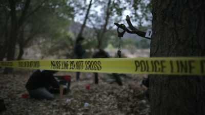 We start to reveal
skeletal remains - Buried In The Backyard