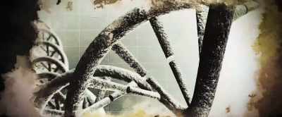 We started as DNA
moving from simplicity - Interreflections
