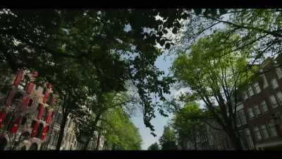 We started trading in spices, coffee, sugar, - The History of Home Narrated by Nick Offerman