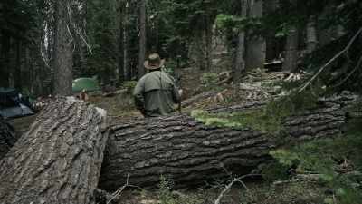 We still don't know
what we're dealing with, - Missing 411: The Hunted