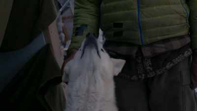 We still got some work to do. - Life Below Zero: Next Generation