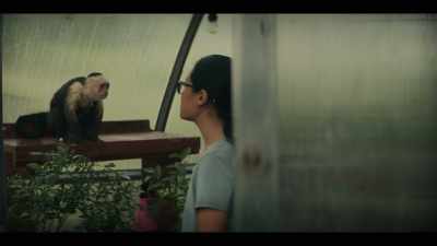 We still have a little more time
to save whales, - Y: The Last Man