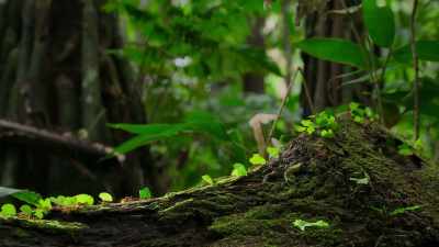 We still have not catalogued - Our Planet