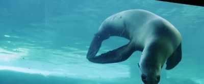 We strive to educate,
protect, and inspire - Aquarium of the Dead
