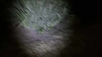 We suspect he's used
his flashlight - Floribama Murders
