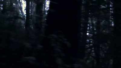 We suspected for a long time
that John Reilly probably knew - Murder Mountain