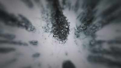 We take care of this land good, - Life Below Zero: First Alaskans