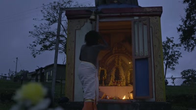 We take care of Raghu every single day, - The Elephant Whisperers