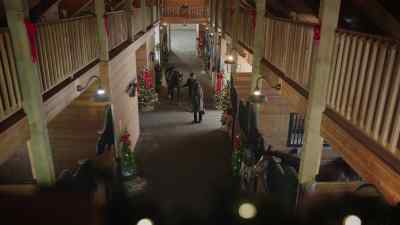 We take in retired racehorses, - Unwrapping Christmas: Mia's Prince