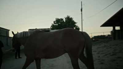 We had ten seizure warrants - Cowboy Cartel