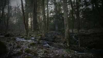 We think it's the property itself
that's haunted, - Ghost Brothers: Lights Out