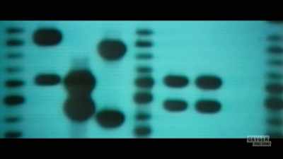 We thought we had
an accurate dna profile, - Lady of the Dunes: Hunting the Cape Cod Killer