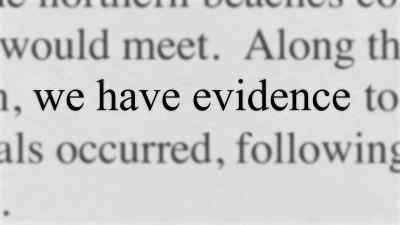 We thought it was definitive. It
was conclusive. Rock-solid evidence. - Never Let Him Go
