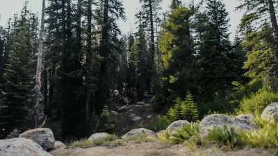 We thought something might be
trying to scare us out. - Missing 411: The Hunted