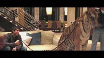 We were told that the tiger
can smell fear, - Girls Gone Wild: The Untold Story