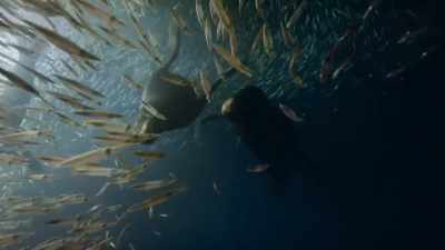 We, too, will be forced to change
the seafood we eat - Our Planet